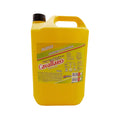 Bidón de 5 L